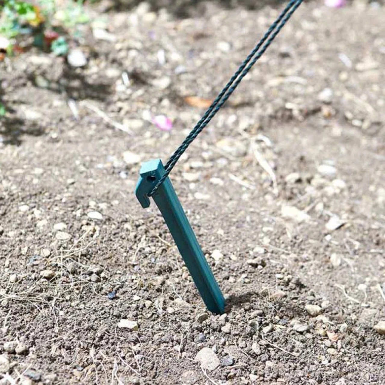 Greenhouse GroZone Max 6 Greenhouse GroZone Max - Image 4