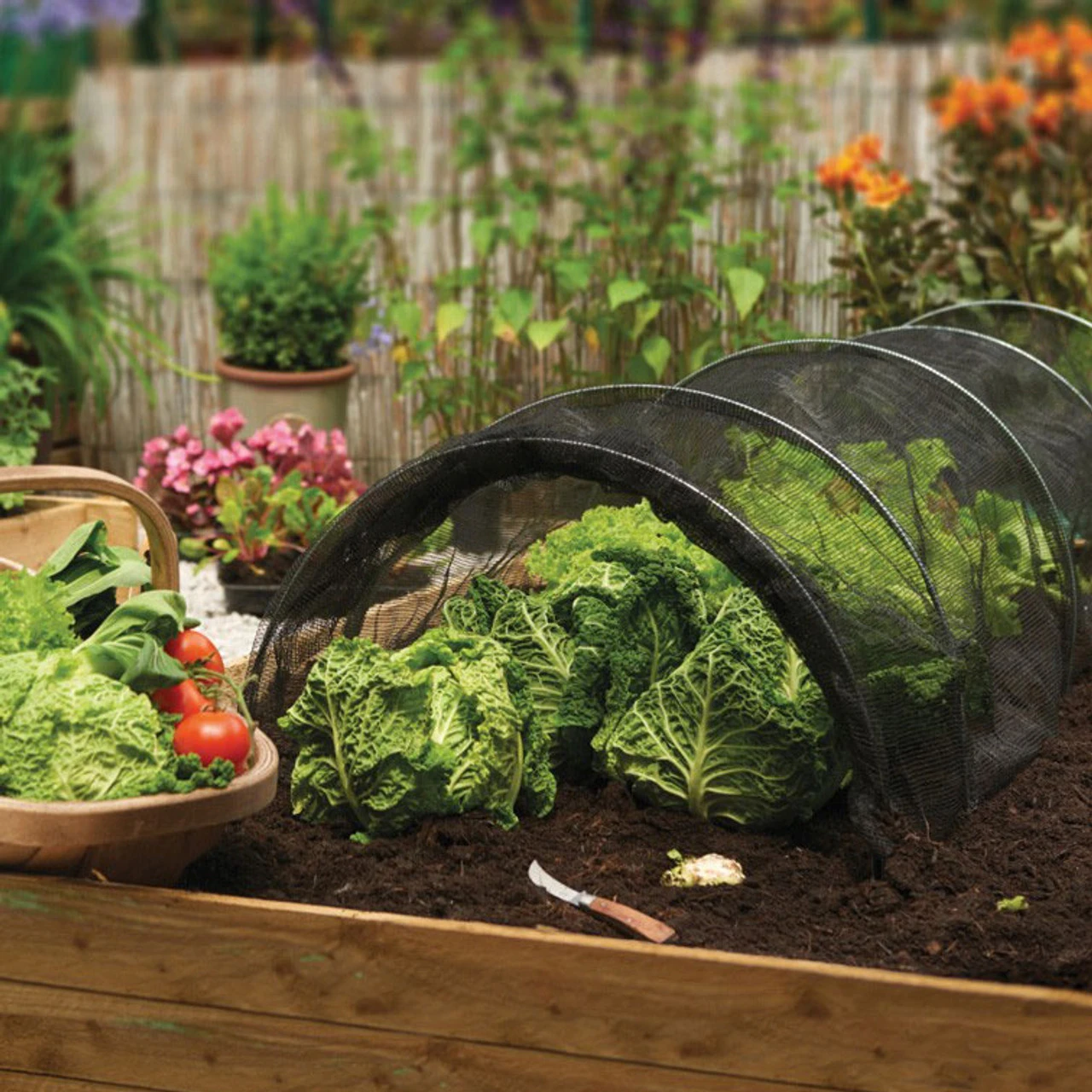 Grow Tunnel With Net Cover 3 Grow Tunnel With Net Cover