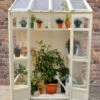 Forest Victorian Tall Wall Greenhouse -Kettler Furniture Shop lanfen1858 3 02743.1665133367